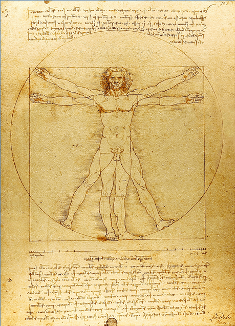 vitruvian.png