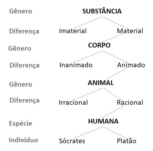 árvore de Porfírio