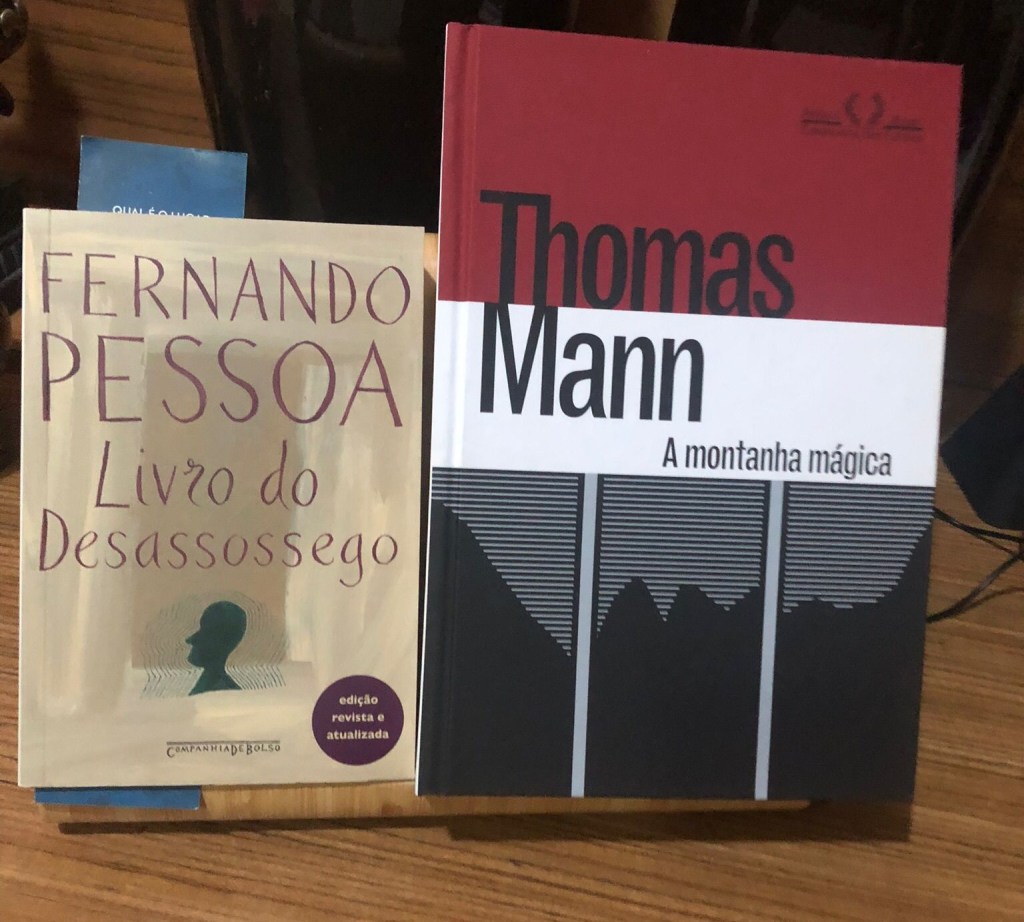 capa de livros,
Fernando Pessoa O Livro do Desassossego, Thomas Mann A montanha mágica